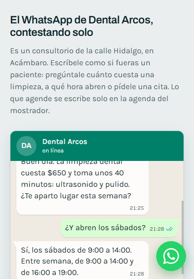 Pantalla de la demo del consultorio dental en un celular